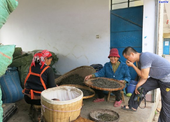 普洱邦崴茶山游