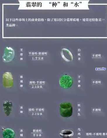 翡翠的鉴别与评估：全解析品相标准