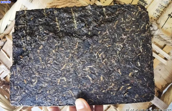 王霞普洱茶砖鉴赏与冲泡指南