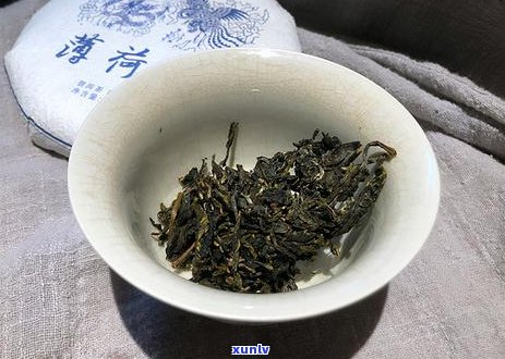 普洱茶饮用指南：全面掌握各种冲泡与品鉴技巧