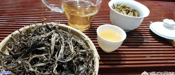 怎么给别人介绍普洱茶？