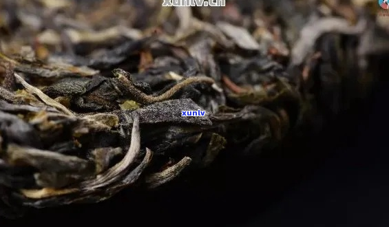 普洱茶饼边缘出现黄渍：鉴别与护理指南