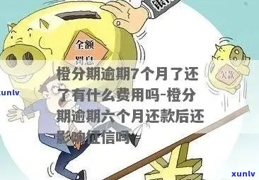 桔子分期逾期两天