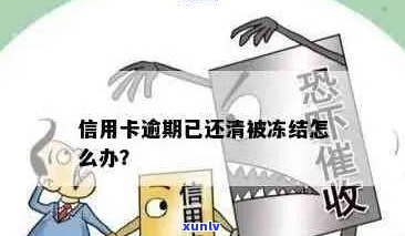 逾期信用卡没欠款会冻结么