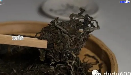 如何为干燥环境中普洱茶增添湿度？