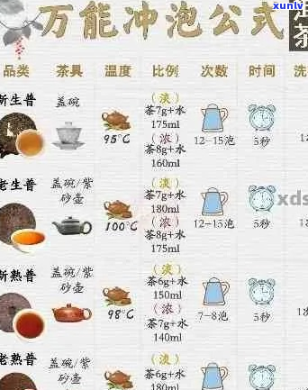 普洱茶冲泡指南：水温、时间与泡法全解析