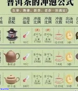 普洱茶冲泡指南：水温、时间与泡法全解析