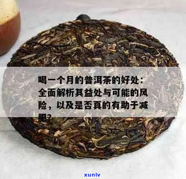 普洱茶的局限性与挑战