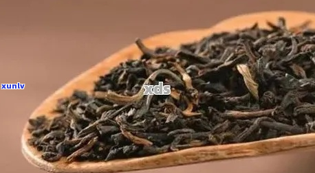 普洱茶选购指南：如何挑选出更优质的和茶品