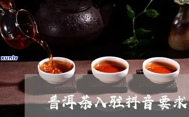 抖音小助手普洱茶红茶批发