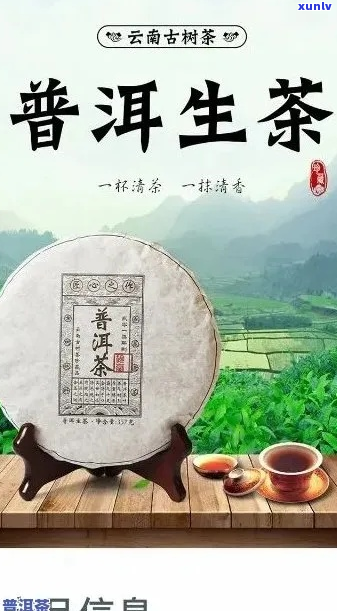 新《探究生普洱茶：是解暑还是助火？全面解析生茶的利与弊》