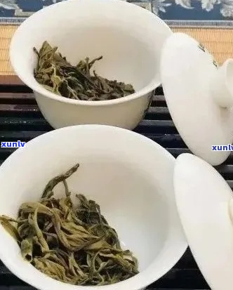 冰岛茶用什么茶具泡