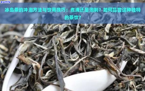 冰岛茶用什么仪器泡的好