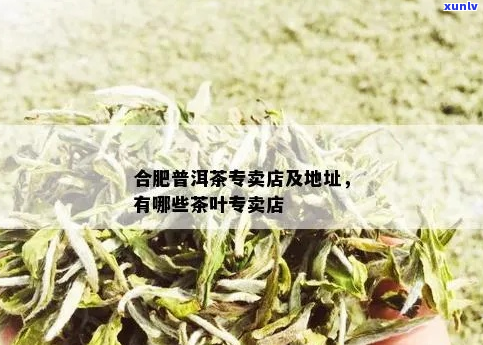 合肥哪个区普洱茶更受欢迎？