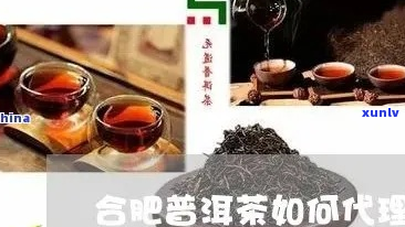 合肥哪个区的普洱茶好