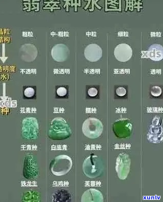 翡翠鉴别指南：全方面解析优质翡翠品种