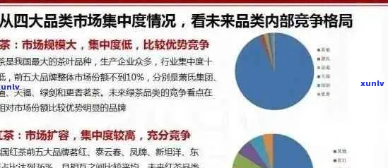 上海普洱茶市场全景解析：价格趋势、消费者偏好与市场动态