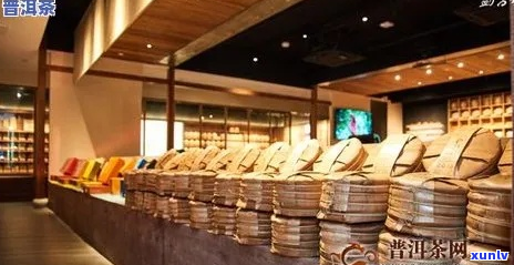 上海普洱茶店的地址、数量和专卖店信息