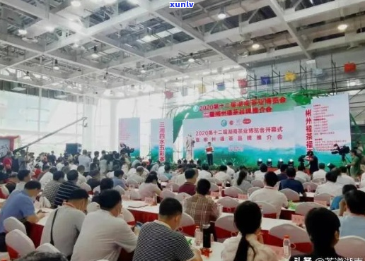 重庆茶博会2021年时间表，重庆茶博会2021年举办时间，重庆茶博会2021年时间