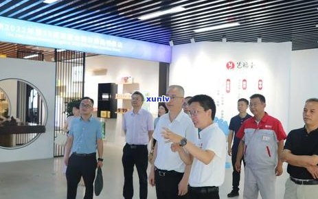 桐庐有什么好的茶叶、有什么茶叶店和厂、出名和有名的茶叶