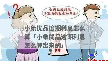 小象优品逾期未还该如何处理