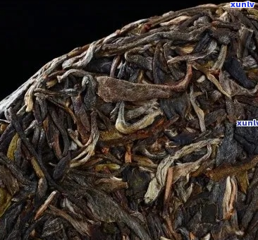 澜沧古茶生茶全系列推荐：从入门到专业，精选好茶指南