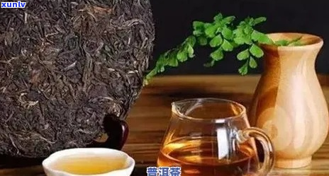 普洱茶怎样才好喝？普洱茶应该怎样喝？终于真相了！