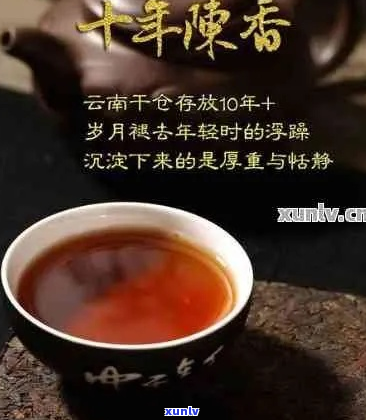 探索云南普洱茶：精选与鉴赏指南