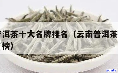 云南十大普洱茶排行榜