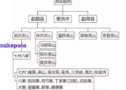 普洱茶产地分区与分类指南