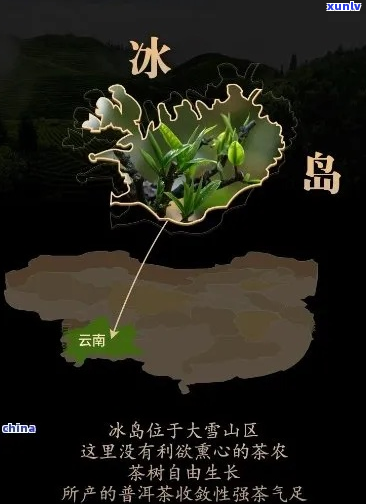 冰岛茶的地理与文化解析：探索这一珍稀茶叶的起源地及其在地区中的地位