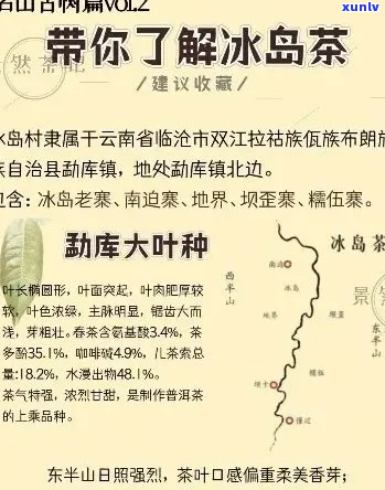 冰岛茶的地理与文化解析：探索这一珍稀茶叶的起源地及其在地区中的地位