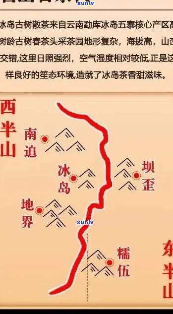 冰岛茶的地理与文化解析：探索这一珍稀茶叶的起源地及其在地区中的地位