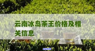 云南哪里有冰岛茶王卖？