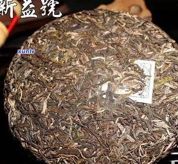 云南特产新益号高品质普洱茶鉴赏