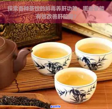 如何通过茶疗改善肝脏健康：精选茶饮指南