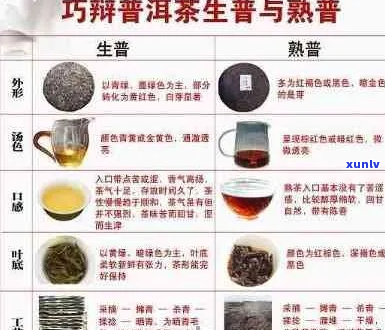 如何泡制完美普洱茶：针对干性肤质的详细指南