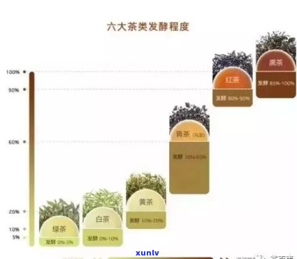 如何泡制完美普洱茶：针对干性肤质的详细指南