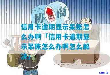 信用卡呆账逾期怎么办