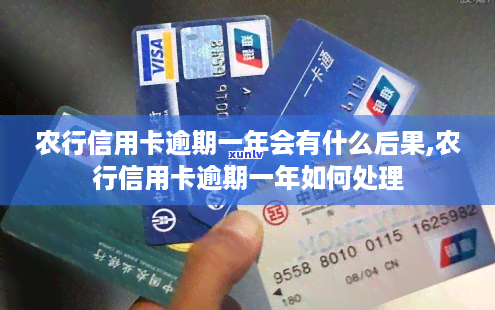 农业信用卡逾期15个月会有哪些后果