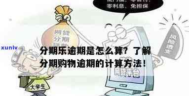 逾期减免手续费攻略