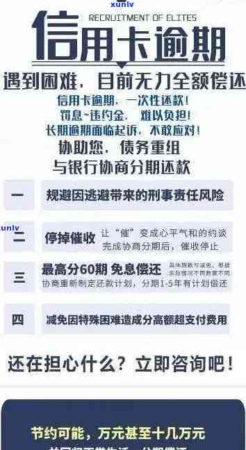 逾期减免手续费攻略
