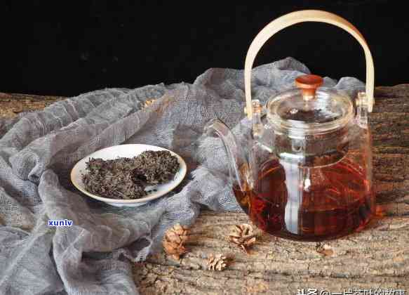 生普洱茶储存秘籍：掌握湿度与通风，确保陈化品质