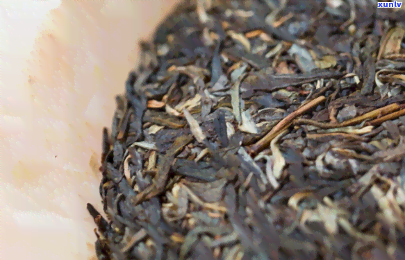 如何存放生普洱茶饼：详解保存普洱生茶饼的     与技巧
