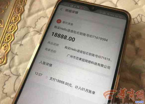 支付宝欠款2千怎么办