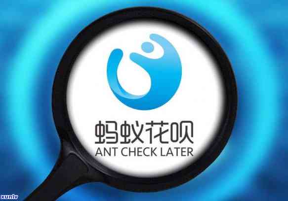 支付宝欠款2千怎么办