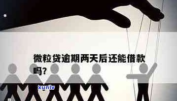 微粒贷欠两万逾期怎么办