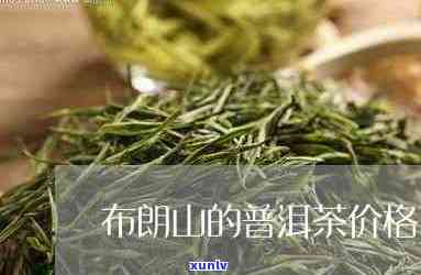 批发茶叶全攻略：选购、价格、质量与供应商对比指南