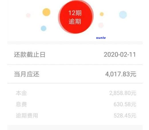 月星金融逾期有宽限期吗